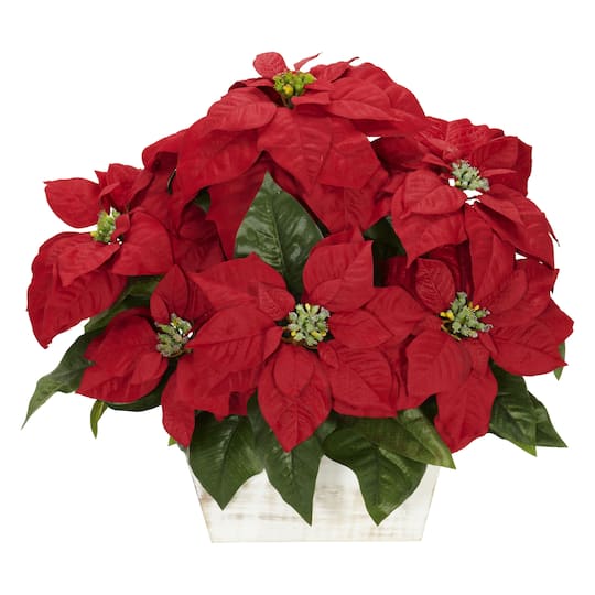 16.5&#x22; Potted Poinsettia in White Washed Planter